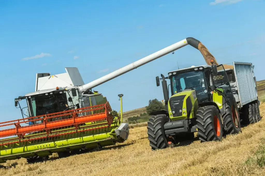 High-Yield Wheat Harvest Success