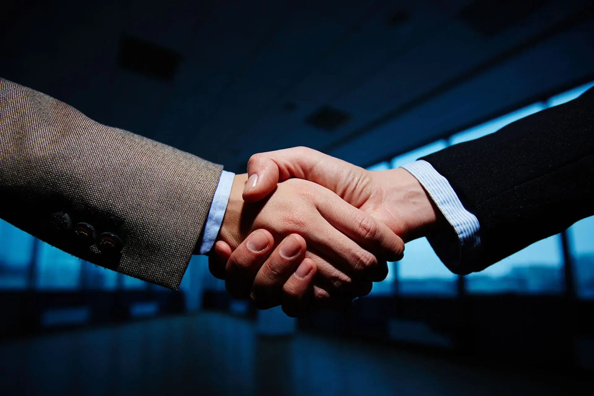 Our Advisors